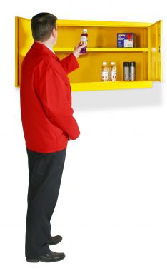 Wall Mounted Hazardous Substance Safety Cabinet Small -  WMHSC2